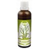 Naděje - Mgr.Podhorná Plasmofit 50 ml