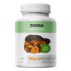 chaga vegan.1646628311