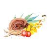 reishi medo.1646628311