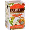Basilur - Fruit Red Hot Ginger přebal 25x1.8g