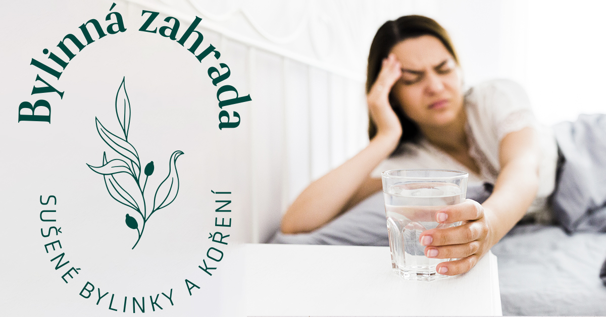 Jak se rychle dostat z kocoviny po bujarém večírku?