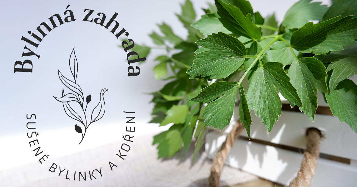 Jak usušit libeček, aby se nezkazil