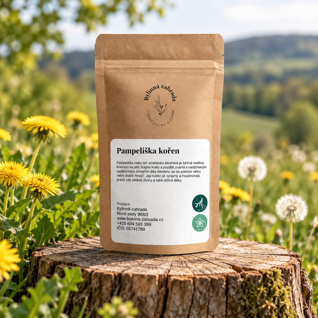 Pampeliška kořen – sáček v přírodním prostředí