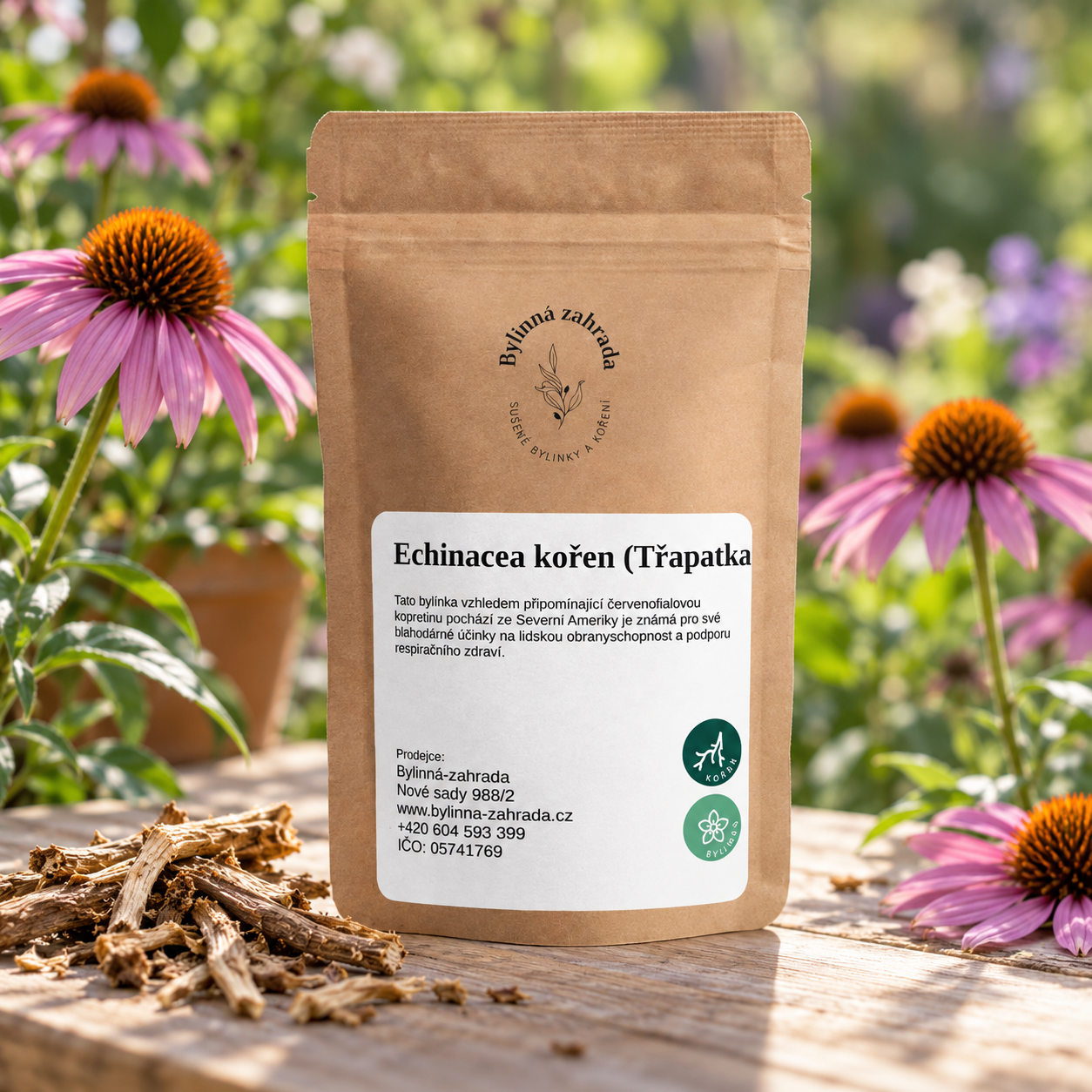 Echinacea kořen (Třapatka) – sáček v přírodním prostředí