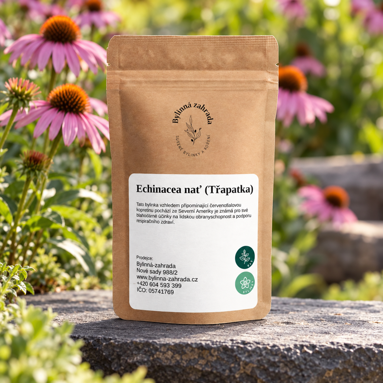 Echinacea nať (Třapatka) – sáček v přírodním prostředí