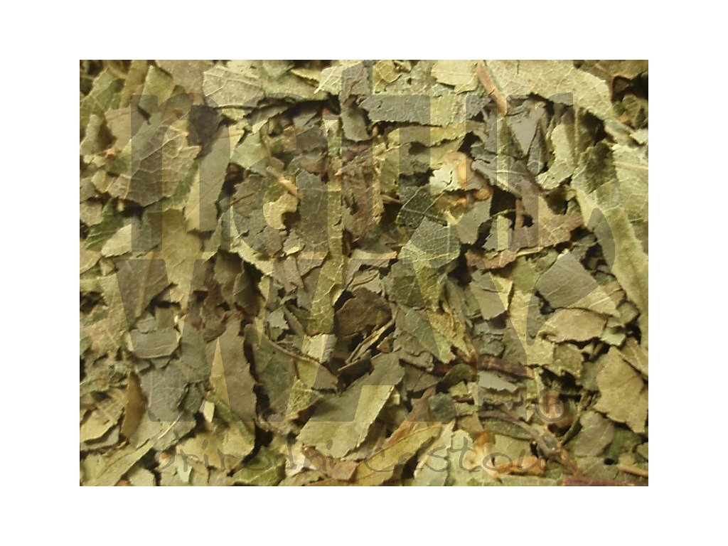 Bříza list (Betulae folium)