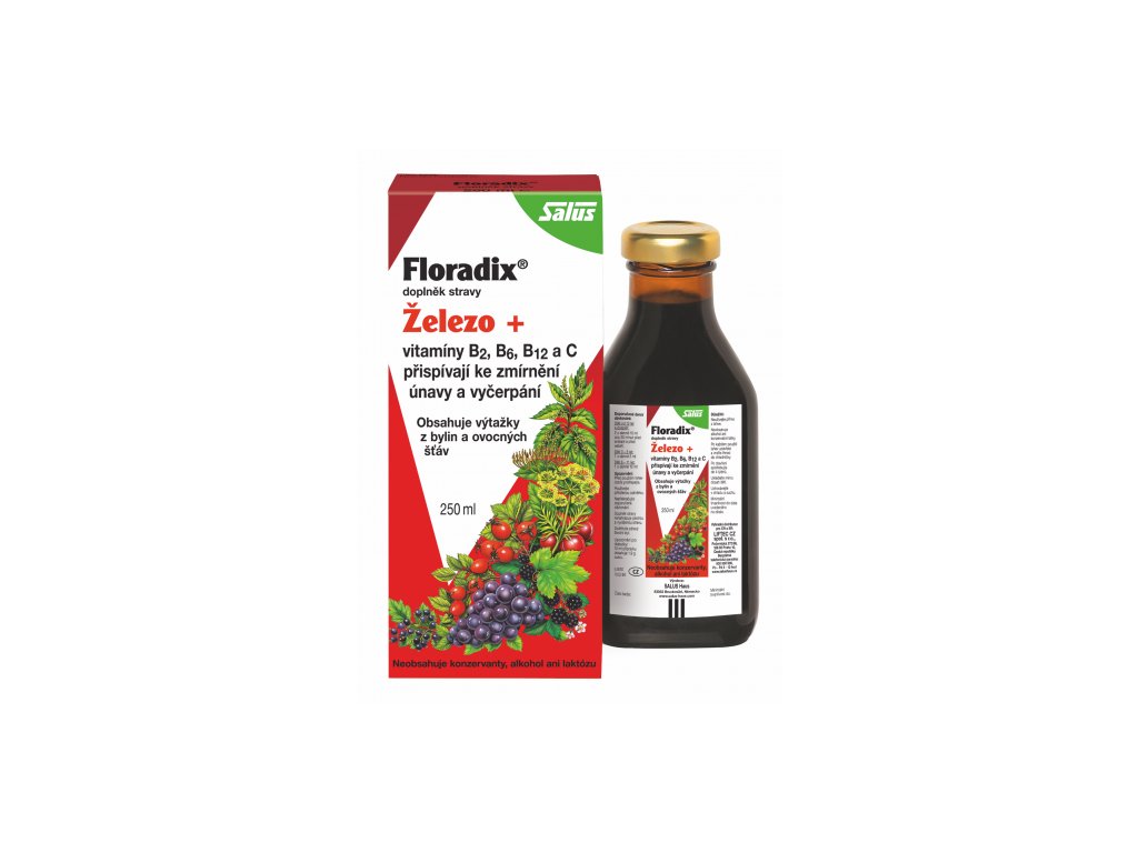 Salus® Floradix Železo 250 ml