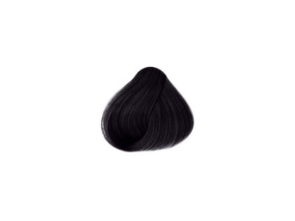 Sanotint Classic Barva na vlasy 01 černá