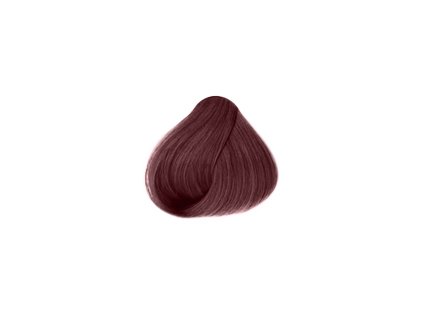 Sanotint Classic Barva na vlasy 25 moka