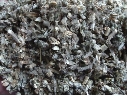 Jablečník nať (Marrubium vulgare)