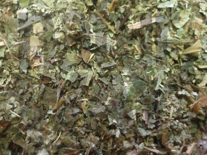 Jahodník list (Fragaria vesca)