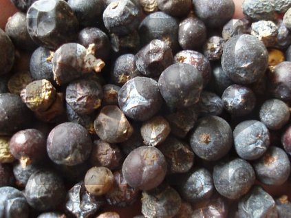 Jalovec plod (Juniperus comunis)