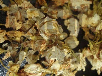 Jasmín květ (Jasminum flos)