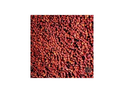 Jeřabina plod - jeřáb červený - ptačí jeřáb (Sorbus aucuparia)