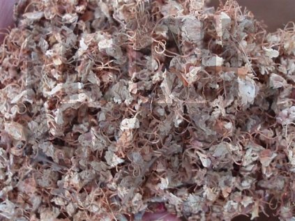 Kaštan koňský (Jírovec maďal) květ (Aesculus hippocastanum flos)