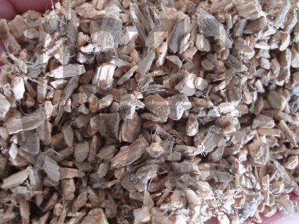 Kondurango kůra (Condurango cortex)