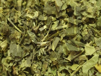 Kontryhel list (Alchemilla vulgaris)