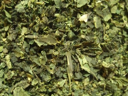 Kopřiva  dvoudomá list (Urtica dioica)