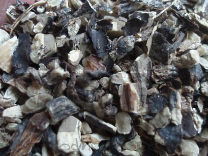 Kostival kořen (Symphytum officinale)