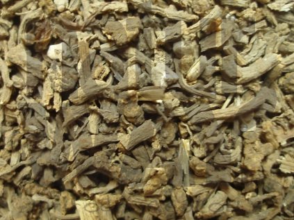 Kozlík kořen (Valeriana officinalis)