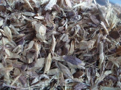 Lékořice kořen (Liquiritiae radix)