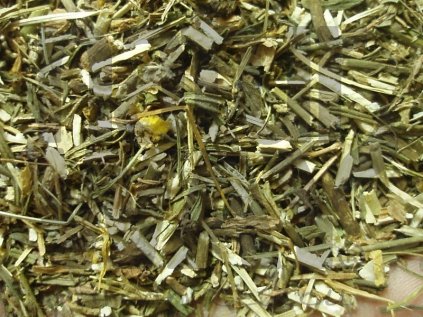 Lnice květel (Linaria vulgaris)