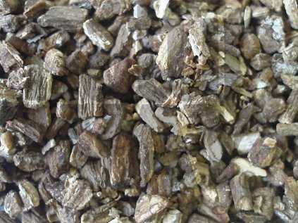 Lopuch kořen (Bardanae radix)