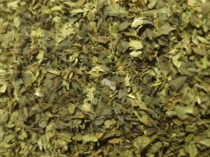 Máta peprná (Menthae pip. herba)