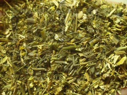 Maceška - violka trojbarevná (Violae tric. herba)