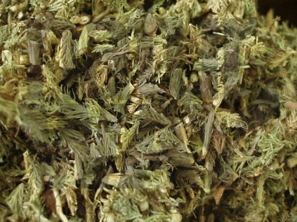 Plavuň vidlačka nať (Lycopodii herba)