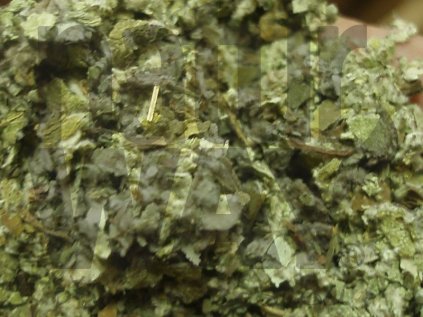 Podběl lékařský list (Farfarae folium)