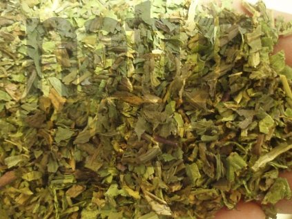 Pampeliška  lékařská list (Taraxaci folim)