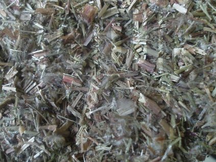 Vrbovka malokvětá nať (Epilobium herba)