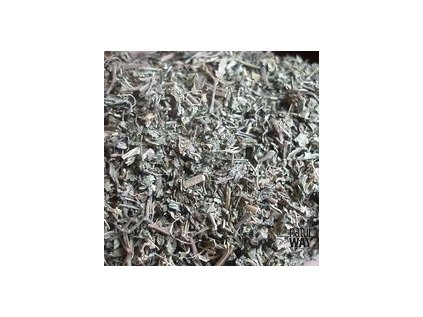 Pupečník asijský (Gotu kola)