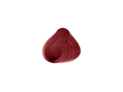 Sanotint Reflex Barvící šampon přeliv na vlasy 58 mahagonová červená