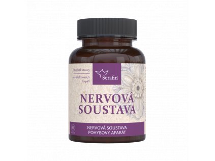 nervova soustava pruhledne