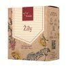 zily pruhledne
