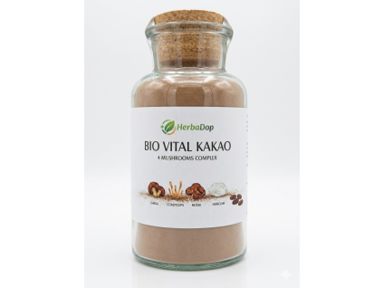 HerbaDop BIO Kakao houby 120g
