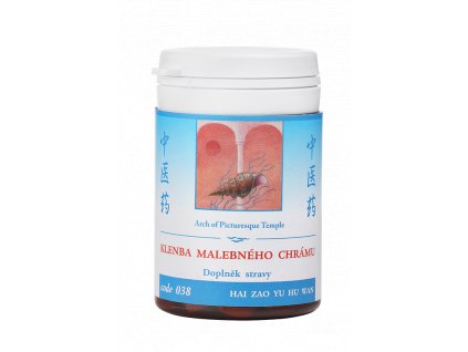 748 klenba malebneho chramu 038 100 tablet