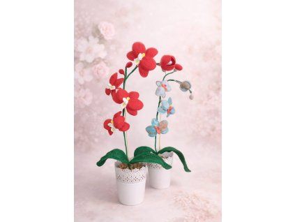 Hačkovaná orchidej