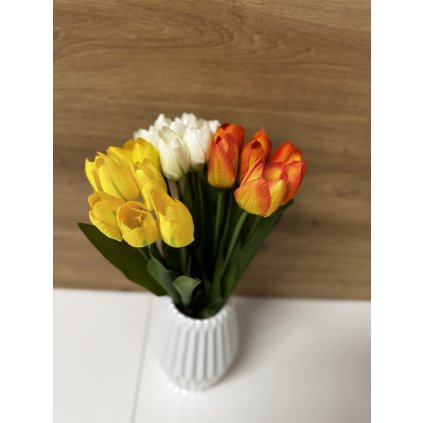 Messenger creation 5D54489F D7B0 494F 9501 8B03082E3BC0