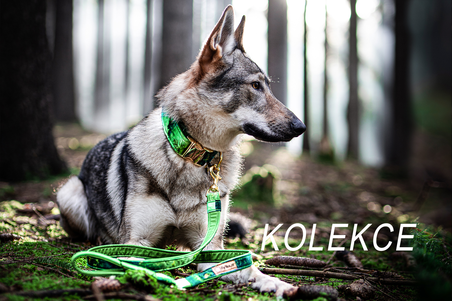 kolekce na venčení