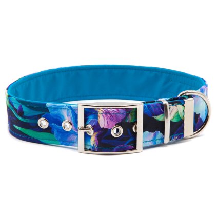 Obojek pro psa 4 cm s přezkou "Blue heart" (Barva obojku Královská modrá, Přezka Stříbrná, Velikost XL)
