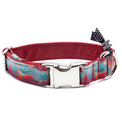 Obojek pro psa 2,5 cm "My place"