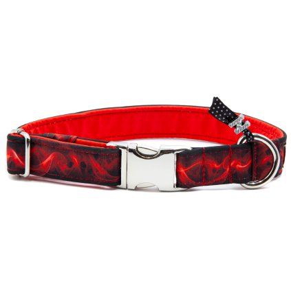 Obojek pro psa 2,5 cm "Red"