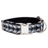 Obojek pro psa 4 cm "Chrome" (Barva Černá, Trojzubec Plast, Velikost XL)