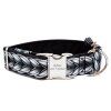 Obojek pro psa 4 cm "Chrome" (Barva Černá, Trojzubec Plast, Velikost XL)