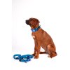 Vodítko pro psa "Blue harmony"
