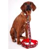 Vodítko pro psa "Harley"