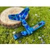 Postroj pro psa  "Blue harmony"